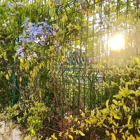 Apartment Marina Garden By Ethnic Ocean