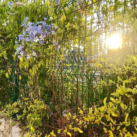 Appartamento Marina Garden By Ethnic Ocean